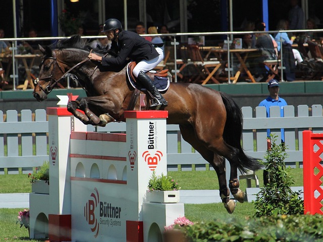 结语的省略 结语的省略