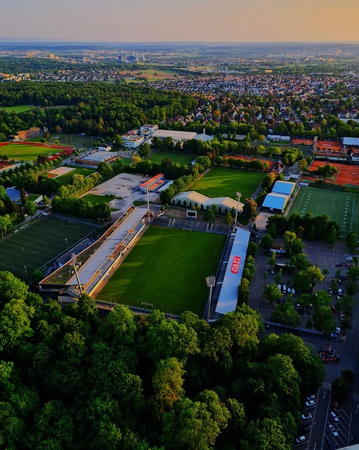 林狼队之间 林狼队之间