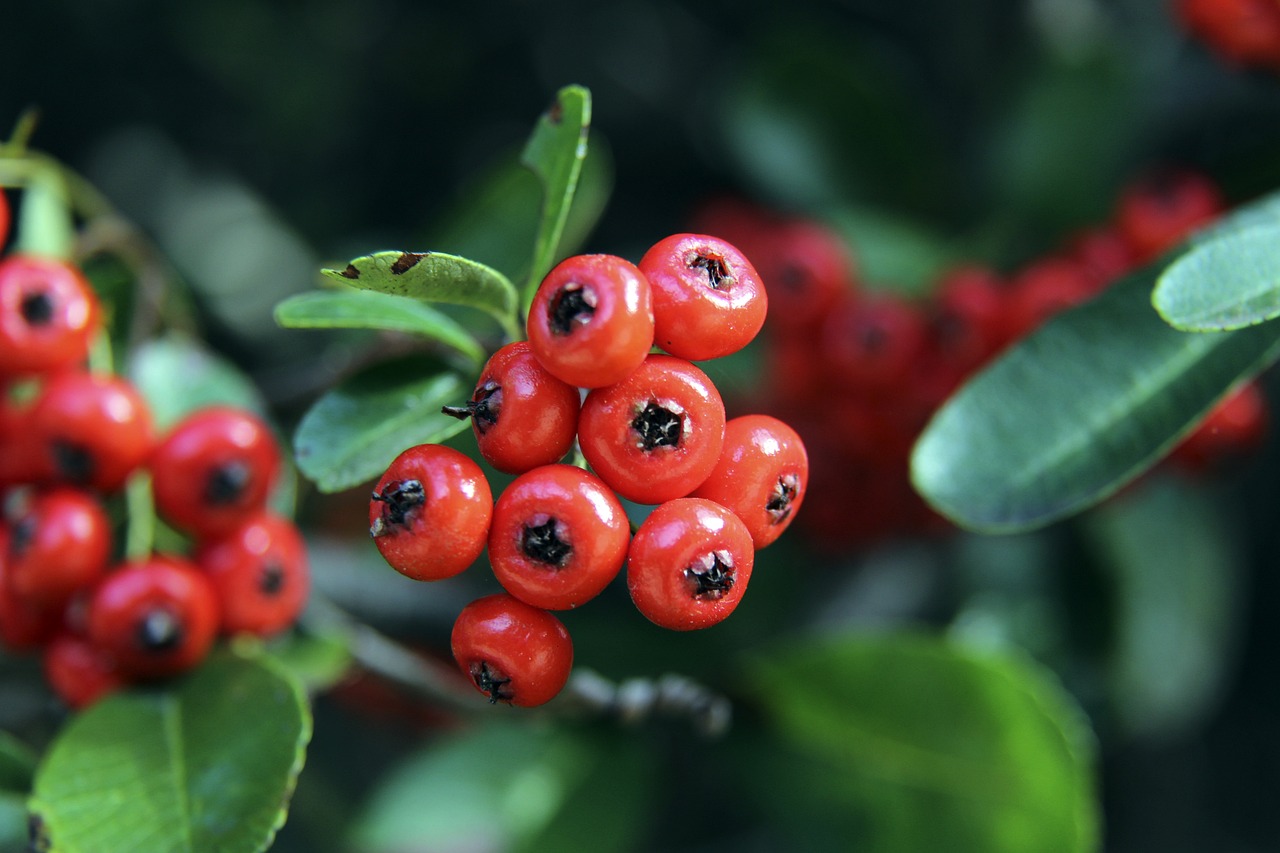 公平与正义 公平与正义